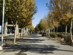 -丁香湖公园