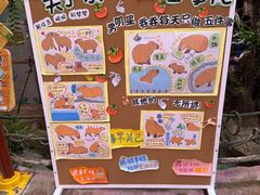 -正佳雨林生态植物园