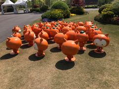 -上海长兴岛郊野公园