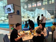 -帝企鹅自助餐厅•儿童岛•真企鹅(长隆企鹅酒店)