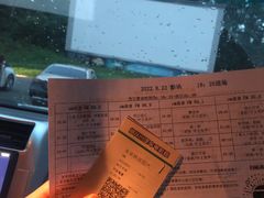 -枫花园汽车电影院(朝阳公园店)