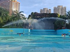 -亚马逊丛林水乐园