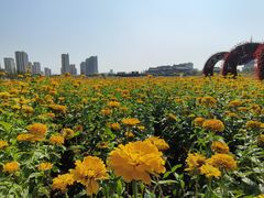 -长春北湖公园