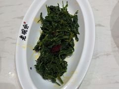-老碗会·陕西手工面(前海世茂店)