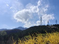 -白水寺森林公园