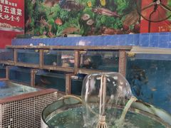-鹅公村食府(罗阳分店)