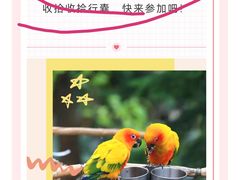 -南宫五洲植物乐园