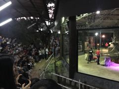 -清迈夜间动物园