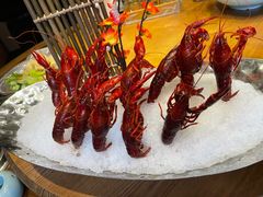 -尚海豆捞(乐虹坊店)