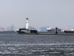 -吴淞炮台湾湿地森林公园烧烤区
