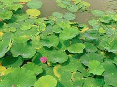 -敕勒川草原文化旅游区