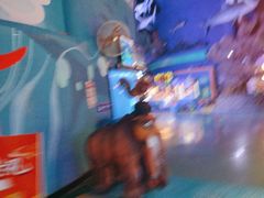 -烟台海昌鲸鲨海洋公园