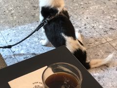 -士多咖啡·Stop Coffee