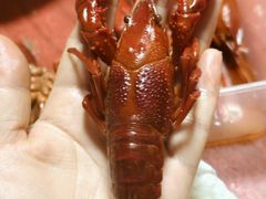 -囍榷·鲜美常州菜(恐龙园店)