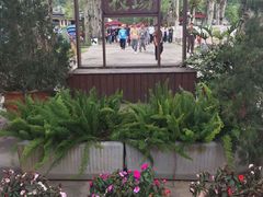 -瑞穗牧场