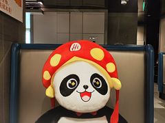 -海底捞火锅(国奥村店)