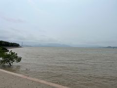 -深圳湾公园(南山区)