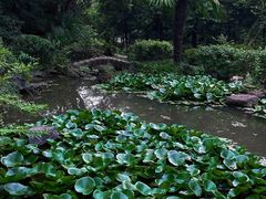 -南山风景名胜区