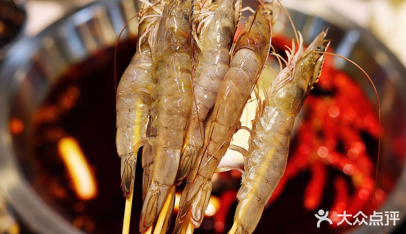 魔都最正宗的市井风重庆辣卤火锅🍲