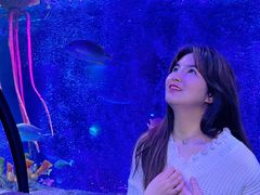 -沈阳海洋探索中心