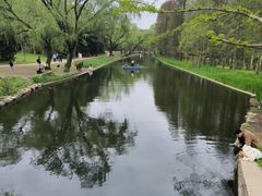 -上海共青森林公园