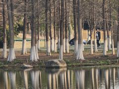 -滆湖低碳生态公园