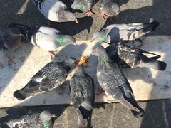 -文艺复兴百货(米兰大教堂广场店)