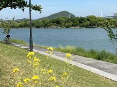 -羊山湖公园