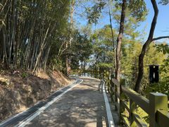-广州市流溪河国家森林公园