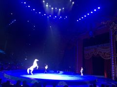 -珠海横琴长隆《卡卡虎奇遇记》