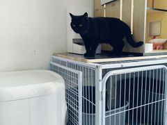 -大悦城(沈阳中街店)