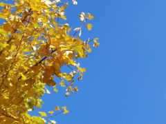 -云南古玩城(护国路店)