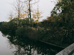 -成都南湖公园