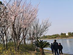 -美兰湖景区