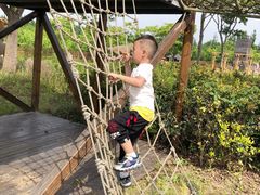 -上海长兴岛郊野公园