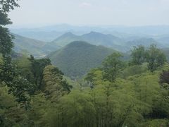 -莫干山风景区