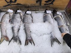 -高家小院铁锅炖大鹅(哈西高铁站店)