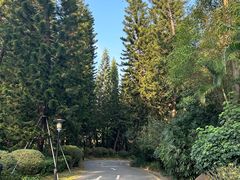 -深圳国际园林花卉博览园