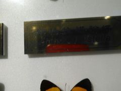 -上海昆虫博物馆