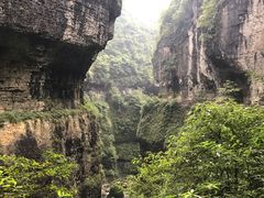 -鹿院坪生态旅游景区