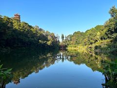 -深圳仙湖植物园