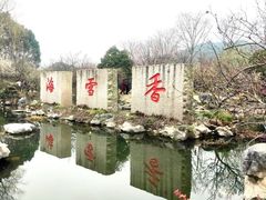 -香雪海