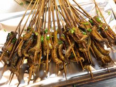 鳝鱼-晓靖轩烧烤(沙河风情店)