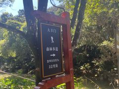 -增城大丰门漂流