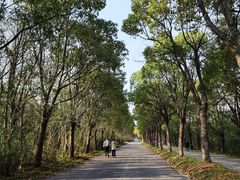 -上海海湾国家森林公园