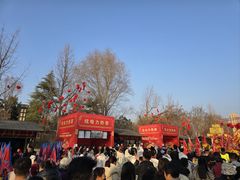 -曹州牡丹园