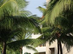 -三亚蜈支洲岛旅游区