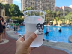 -上海虹桥西郊庄园丽笙大酒店