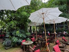 -Fern Forest Cafe