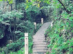 -树山生态村